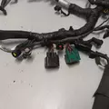 FORD 6.0D Engine Wiring Harness thumbnail 6