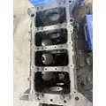 FORD 6.0 Engine Assembly thumbnail 5