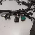 FORD 6.0 Engine Wiring Harness thumbnail 6