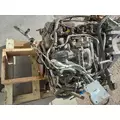 FORD 6.8 LPG Engine Assembly thumbnail 17