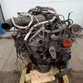 FORD 6.8 LPG Engine Assembly thumbnail 6