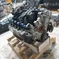 FORD 6.8 LPG Engine Assembly thumbnail 7