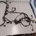 FORD 6.8 LPG Engine Wiring Harness thumbnail 4