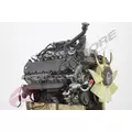 FORD 6.8L V10 TRITON Engine Assembly thumbnail 7