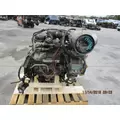 FORD 7.0L V8 GAS ENGINE ASSEMBLY thumbnail 4