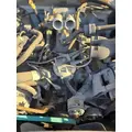 FORD 7.5 LITER Engine Assembly thumbnail 1