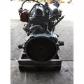 FORD 7.8L IL6 DIESEL BRAZIL ENGINE ASSEMBLY thumbnail 10