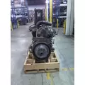 FORD 7.8L IL6 DIESEL BRAZIL ENGINE ASSEMBLY thumbnail 8