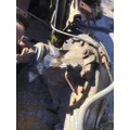 FORD ALL AXLE ASSEMBLY, REAR (REAR) thumbnail 3