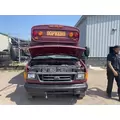 FORD E-450 Super Duty Vehicle For Sale thumbnail 18