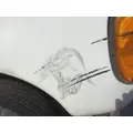 FORD E350 FENDER ASSEMBLY, FRONT thumbnail 2