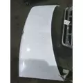 FORD E450 HOOD thumbnail 6