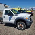 FORD F-450 Cab and Chassis Rebuilders thumbnail 5