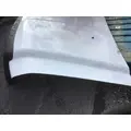 FORD F-450 Hood thumbnail 2