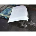 FORD F-450 Hood thumbnail 4
