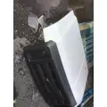 FORD F-450 Hood thumbnail 5