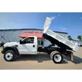 FORD F-550 SUPERDUTY XL Used Trucks thumbnail 16