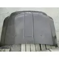 FORD F250SD (SUPER DUTY) HOOD thumbnail 1