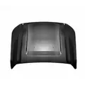 FORD F350SD (SUPER DUTY) HOOD thumbnail 2