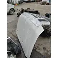 FORD F350 Hood thumbnail 1