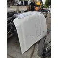 FORD F350 Hood thumbnail 3
