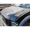 FORD F450SD (SUPER DUTY) 1999-2025 HOOD thumbnail 2