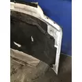 FORD F450SD (SUPER DUTY) HOOD thumbnail 6