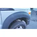 FORD F550SD (SUPER DUTY) BODY PARTS, MISC. thumbnail 1
