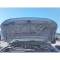 FORD F550SD (SUPER DUTY) HOOD thumbnail 1