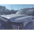 FORD F550SD (SUPER DUTY) HOOD thumbnail 3