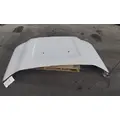 FORD F550SD (SUPER DUTY) HOOD thumbnail 1