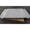 FORD F550SD (SUPER DUTY) HOOD thumbnail 3