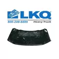 FORD F550SD (SUPER DUTY) HOOD thumbnail 2