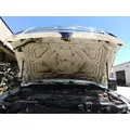 FORD F550SD (SUPER DUTY) HOOD thumbnail 3