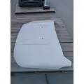 FORD F550SD (SUPER DUTY) HOOD thumbnail 2