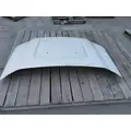 FORD F550SD (SUPER DUTY) HOOD thumbnail 3