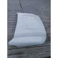 FORD F550SD (SUPER DUTY) HOOD thumbnail 4