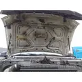 FORD F550SD (SUPER DUTY) HOOD thumbnail 2