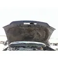 FORD F550SD (SUPER DUTY) HOOD thumbnail 2