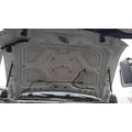 FORD F550SD (SUPER DUTY) HOOD thumbnail 2