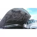 FORD F550SD (SUPER DUTY) HOOD thumbnail 1