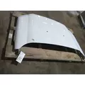 FORD F550SD (SUPER DUTY) HOOD thumbnail 4