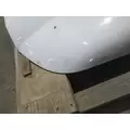 FORD F550SD (SUPER DUTY) HOOD thumbnail 5