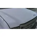 FORD F550SD (SUPER DUTY) HOOD thumbnail 2