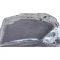 FORD F550SD (SUPER DUTY) HOOD thumbnail 4