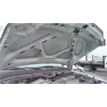 FORD F550SD (SUPER DUTY) HOOD thumbnail 3
