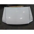 FORD F550SD (SUPER DUTY) HOOD thumbnail 6