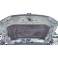 FORD F550SD (SUPER DUTY) HOOD thumbnail 2