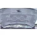 FORD F550SD (SUPER DUTY) HOOD thumbnail 3