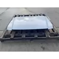 FORD F550 Hood thumbnail 1